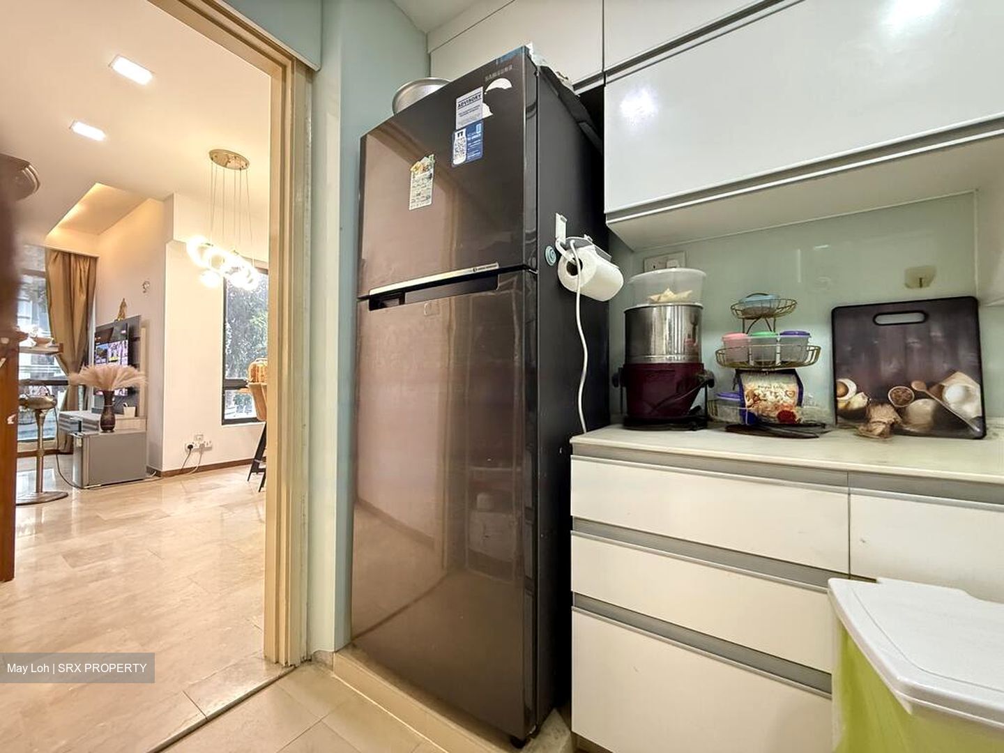 Regent Heights (D23), Condominium #469118961